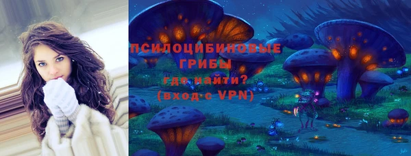 PSILOCYBIN Алексеевка